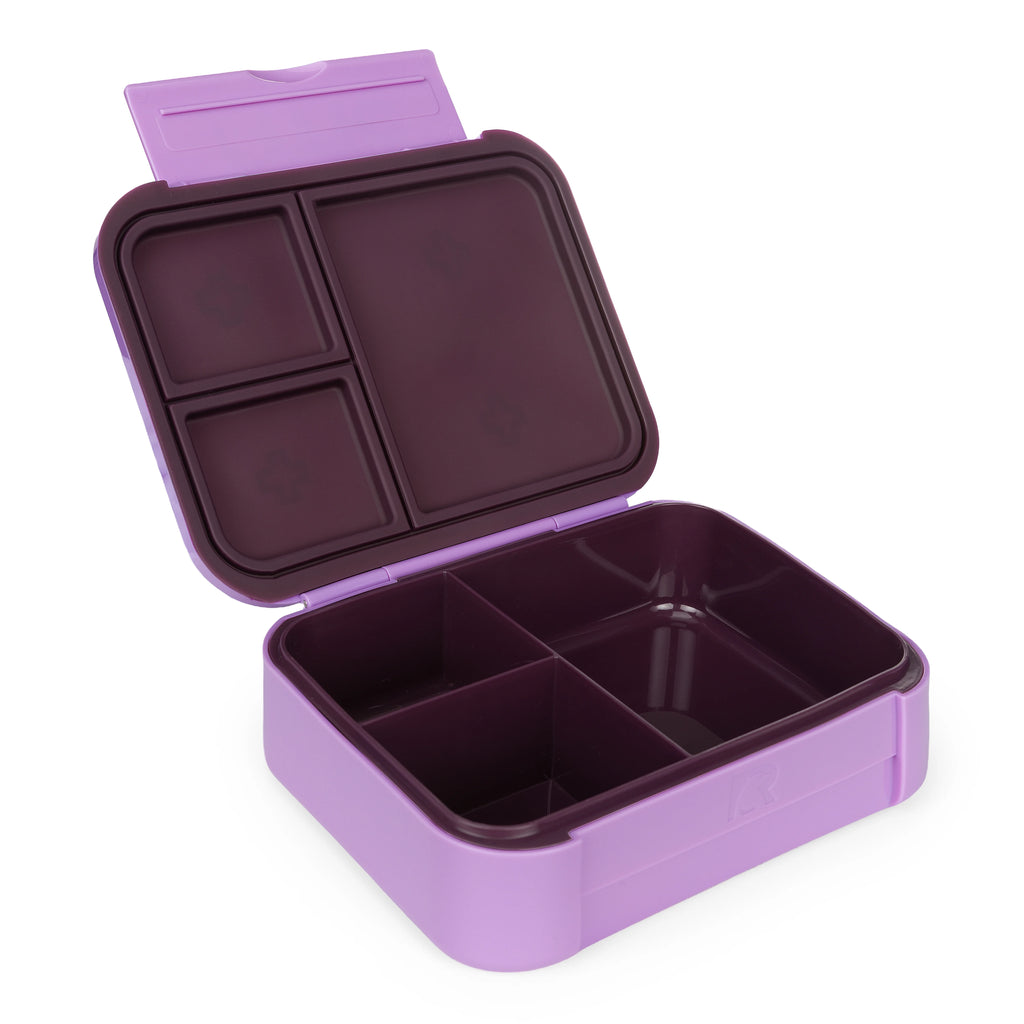 Day Packer Lunch Container