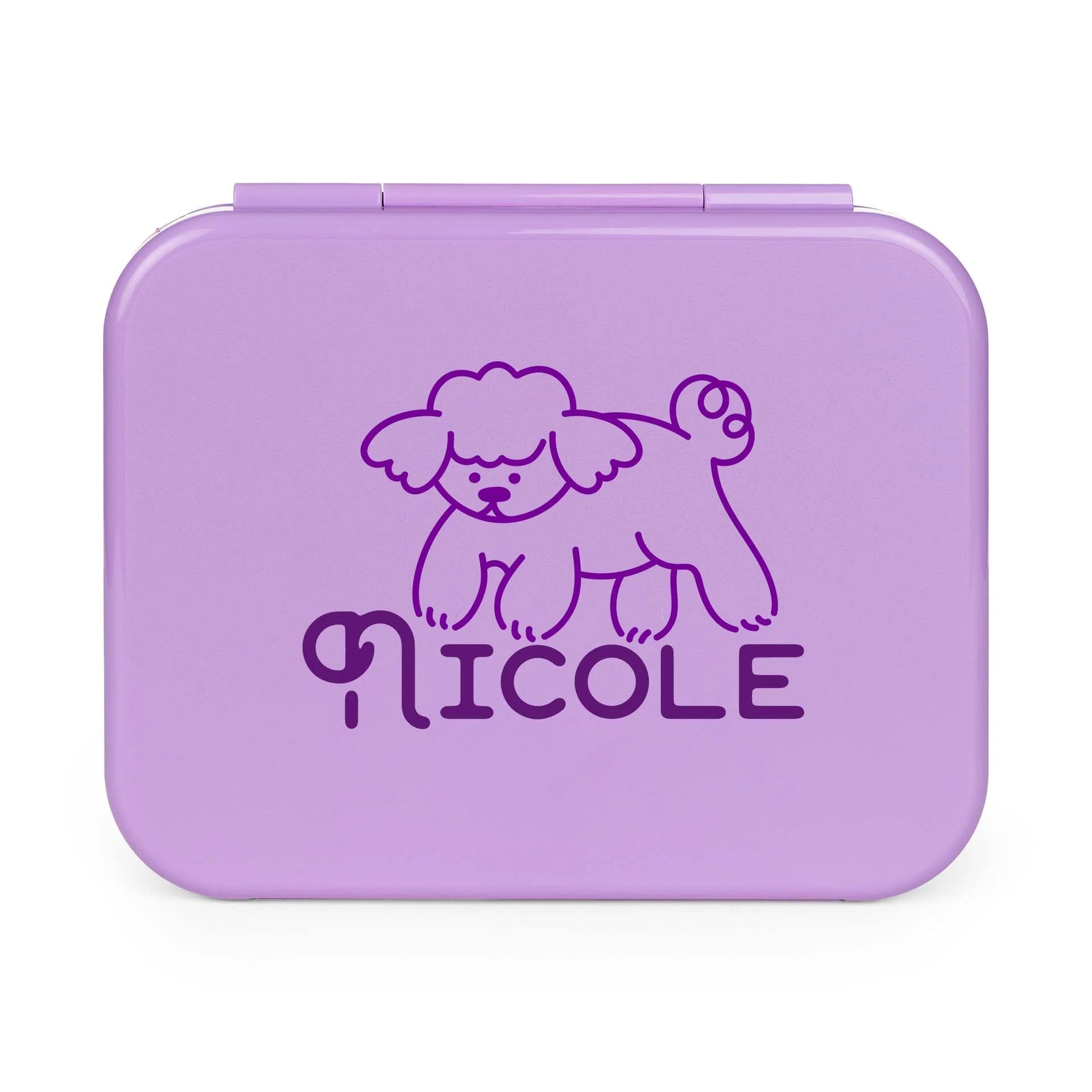Day Packer Lunch Container