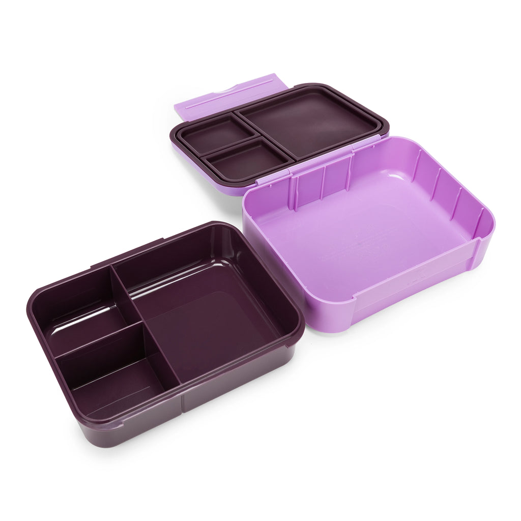 Day Packer Lunch Container