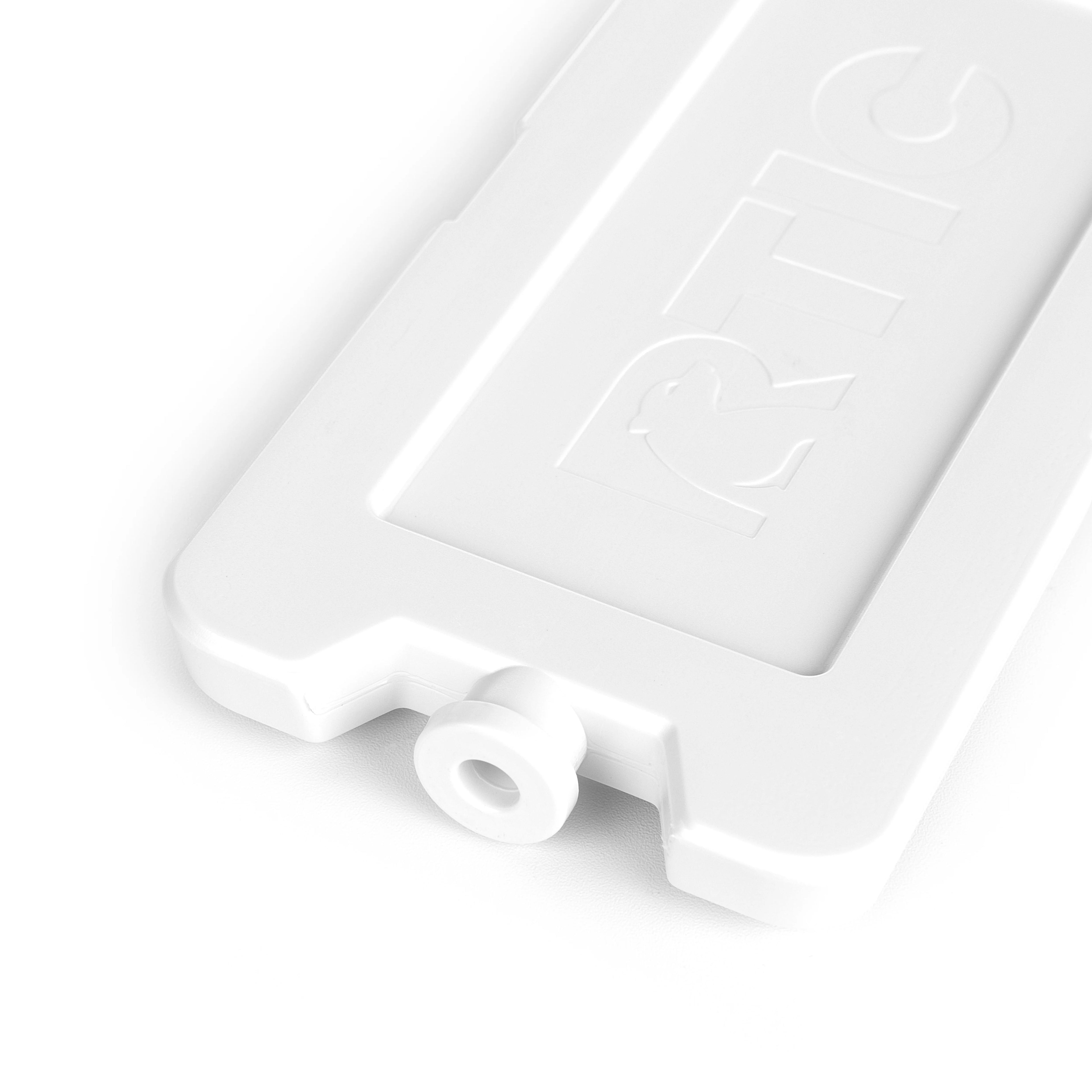 Ice Pack (2 Pack)