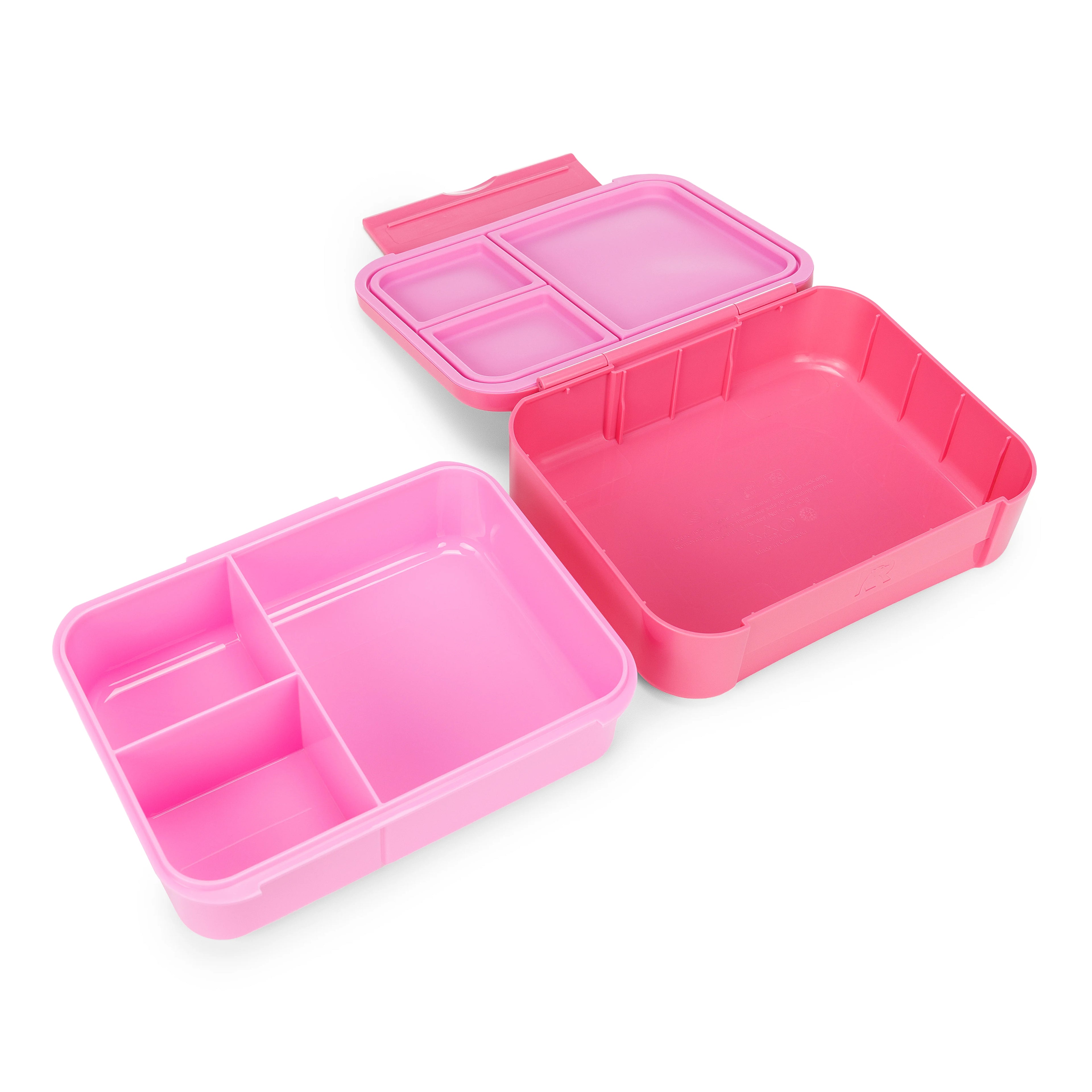 Day Packer Lunch Container