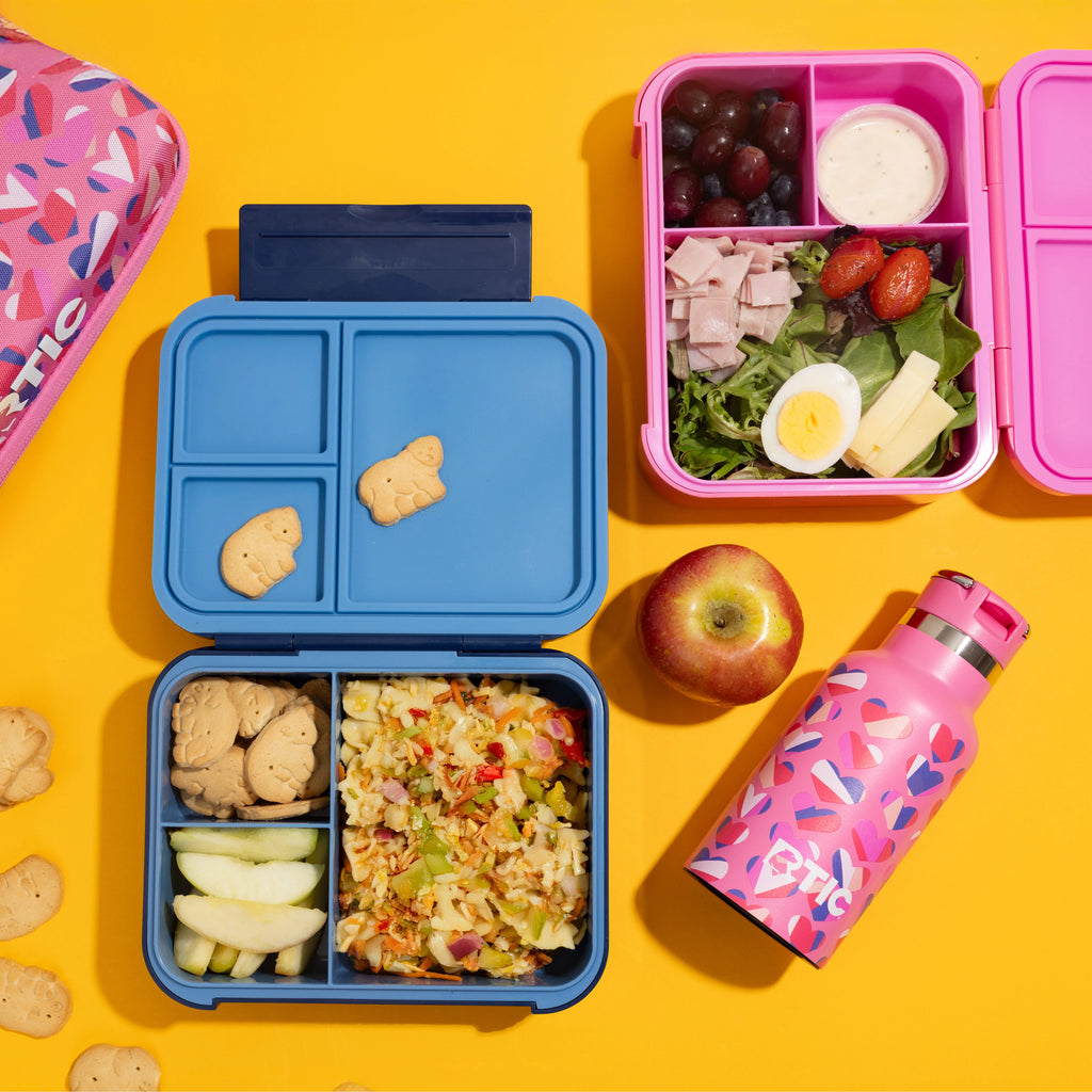 Day Packer Lunch Container